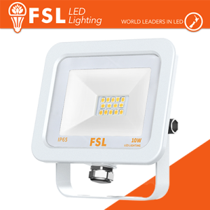 Proiettore per esterni Bianco 10W - IP65 115° 6500K